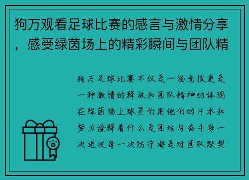 狗万观看足球比赛的感言与激情分享，感受绿茵场上的精彩瞬间与团队精神